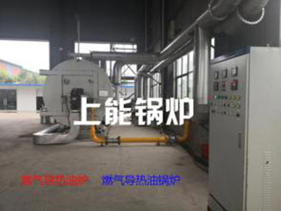 電加熱導(dǎo)熱油爐